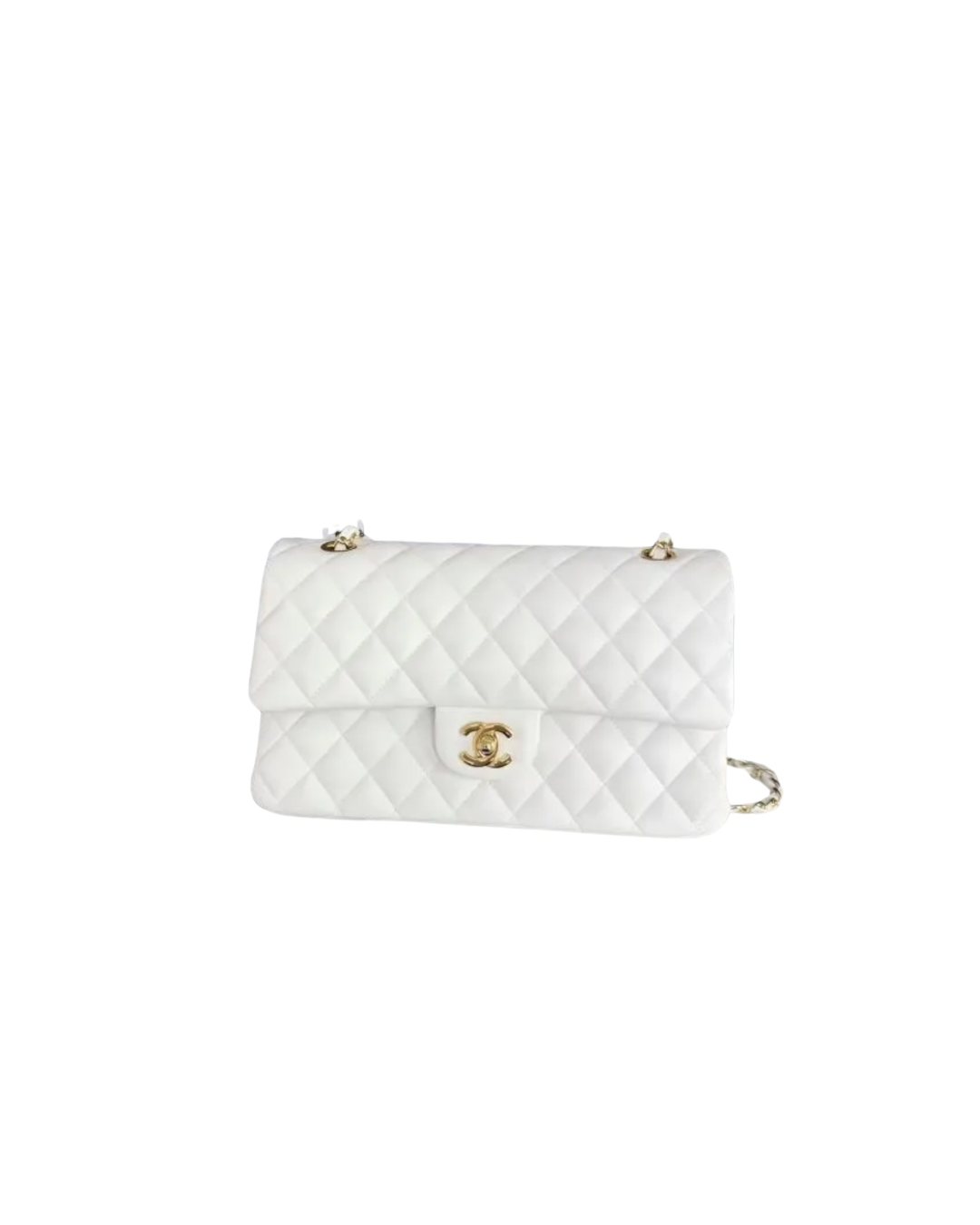 The Fancy Bag (PREORDER)